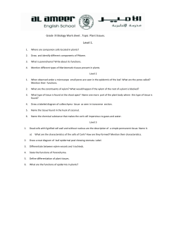 Grade IX Biology Work sheet . Topic Plant tissues. Level 1. Where