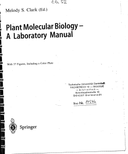 i Plant Molecular Biology I A Laboratory Manual \ i 1