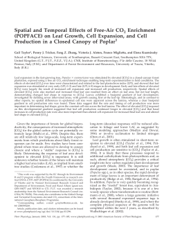 on Leaf Growth, Cell Expansion, and Cell Production in a Close