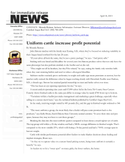Uniform cattle increase profit potential