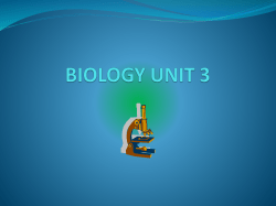 BIOLOGY UNIT 3
