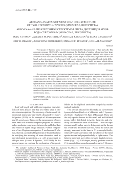 areoana analysis of moss leaf cell structure of two cyrtomnium species