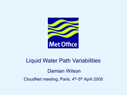 5.6 Liquid water path variabilities.