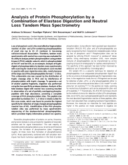 Analysis of Protein Phosphorylation by a Combination of Elastase