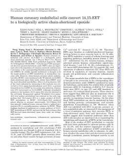 Human coronary endothelial cells convert 14,15