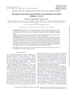 The impact of elevated carbon dioxide on the