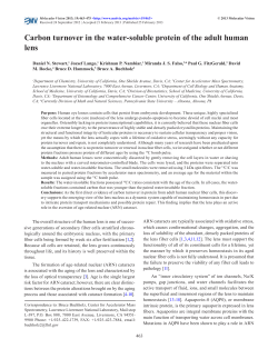 Carbon turnover in the water-soluble protein of