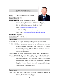 Prof. Dr. Mostafa Mohamed El