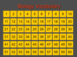 Physical Science Vocabulary