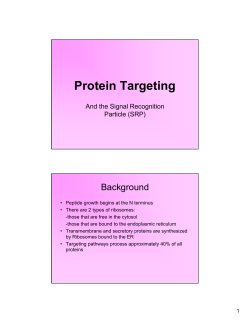 Protein Targeting - U of L Class Index