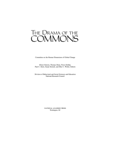 Common Resources and Institutional Sustainability