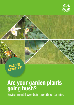 Are your garden plants going bush?