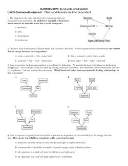 Unit 5 Common Assessment