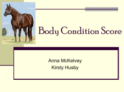 Body Condition Score