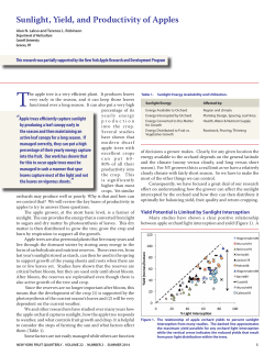Sunlight, Yield, and Productivity of Apples