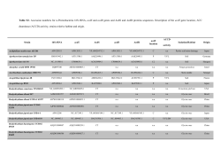 Table S2- Accession numbers for α-Proteobacteria 16S rRNA, acdS