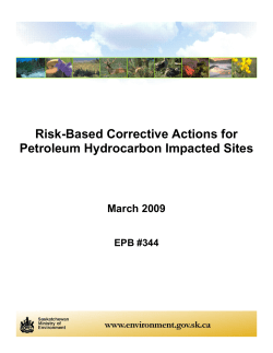 Risk-based Corrective Actions For Petroleum Hydrocarbon Impacted