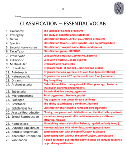 Classification Notes