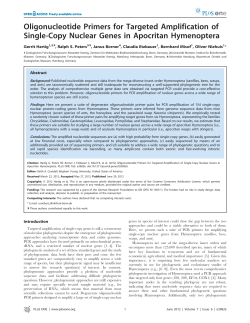 Oligonucleotide Primers for Targeted Amplification of Single