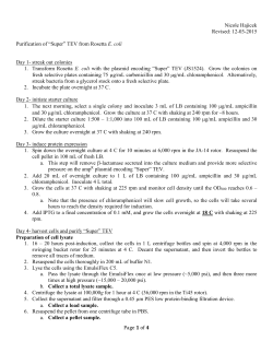 purification of Super TEV resived 12032015