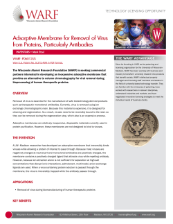Adsorptive Membrane for Removal of Virus from Proteins