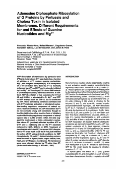 Adenosine Diphosphate Ribosylation of G Proteins by Pertussis and