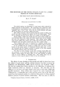 THE RESPONSE OF THE YOUNG TOMATO PLANT TO A BRIEF