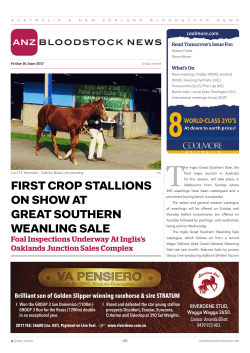 first crop stallions on show at great southern weanling sale