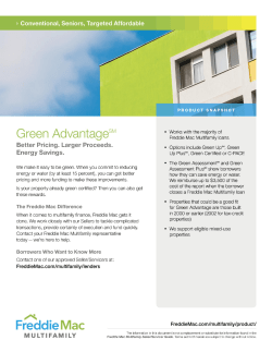 Green Advantage Terms
