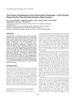 The Primary Photophysics of the Avena sativa Phototropin 1 LOV2