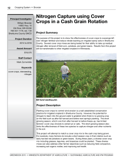 Greenbook 2015 &ndash; Nitrogen Capture using Cover Crops in a Cash