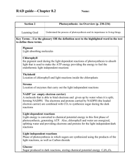 Light independent reactions