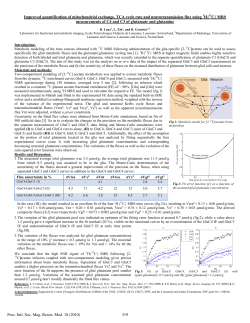 Improved quantification of mitochondrial exchange, TCA cycle rate