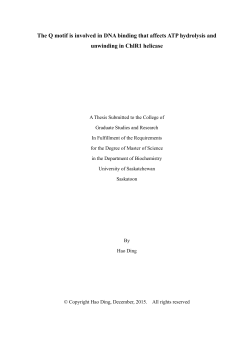 The Q motif is involved in DNA binding that affects ATP hydrolysis