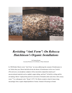 Revisiting “Anti Form”: On Rebecca Hutchinson`s Organic Installations