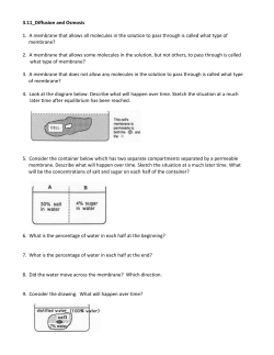 3.11_Diffusion and Osmosis 1. A membrane that allows all