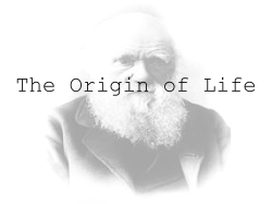 The Origin of Life