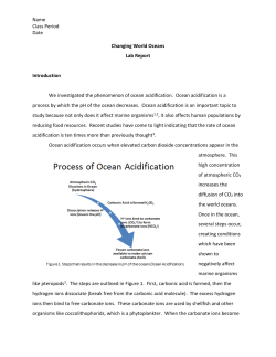 example lab report