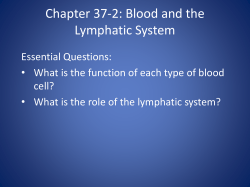 Chapter 37-2: Blood and the Lymphatic System
