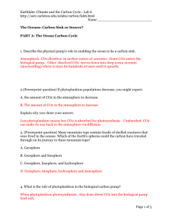 Part B: Phytoplankton