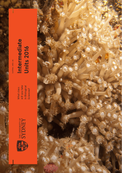 Intermediate Study Guide - The University of Sydney