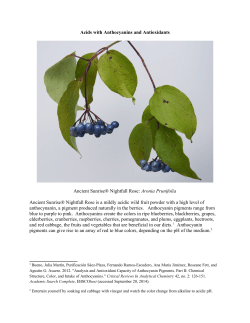 Acids with Anthocyanins and Antioxidants