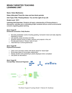 Photosynthesis - Brain
