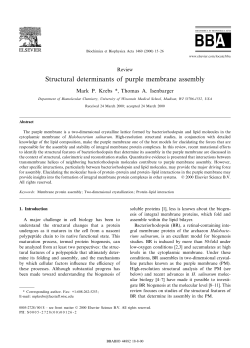 Structural determinants of purple membrane