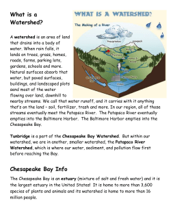 Sediment in the Bay - Afya Baltimore Inc.