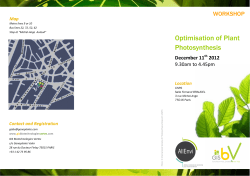 Optimisation of Plant Photosynthesis