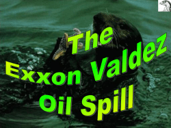 Exxon Valdez Oil Spill
