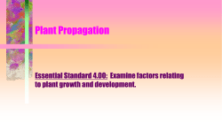Plant Propagation