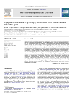 Phylogenetic relationships of glassfrogs (Centrolenidae