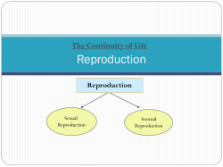 Asexual VS Sexual reproduction